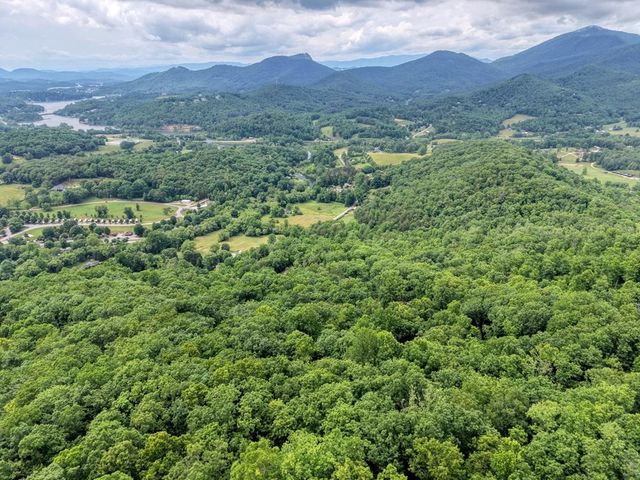 22 Buckhead Hills, Hiawassee, GA 30546
