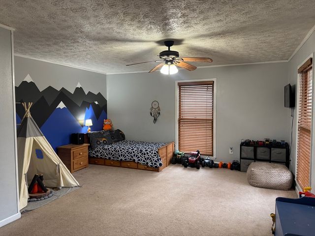 315 Greenhouse Road, Mineral Bluff, GA 30559