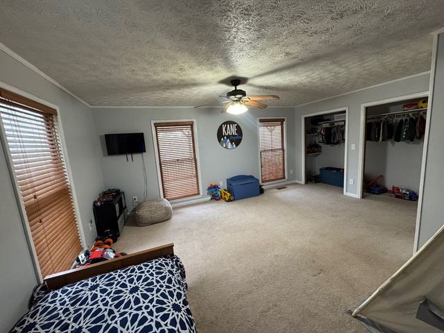 315 Greenhouse Road, Mineral Bluff, GA 30559