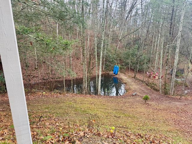 315 Greenhouse Road, Mineral Bluff, GA 30559