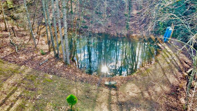 315 Greenhouse Road, Mineral Bluff, GA 30559