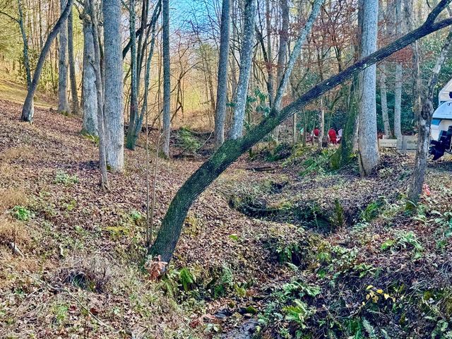 315 Greenhouse Road, Mineral Bluff, GA 30559