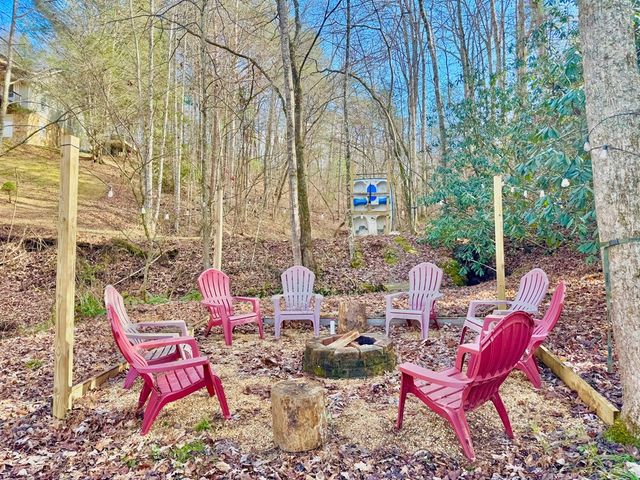 315 Greenhouse Road, Mineral Bluff, GA 30559