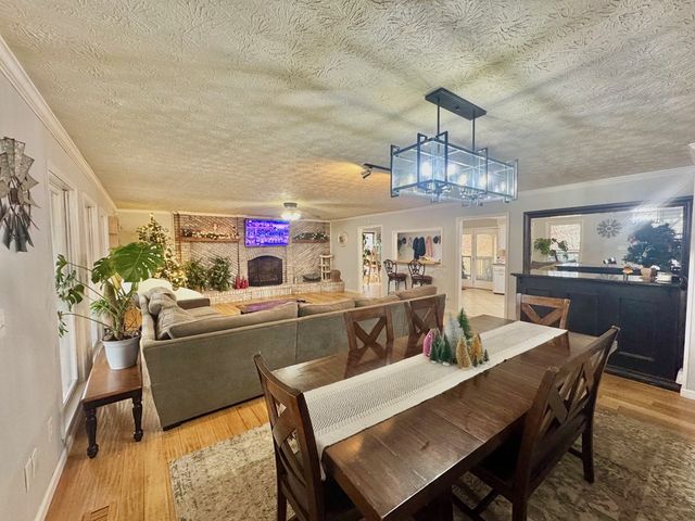 315 Greenhouse Road, Mineral Bluff, GA 30559