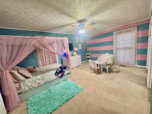 315 Greenhouse Road, Mineral Bluff, GA 30559