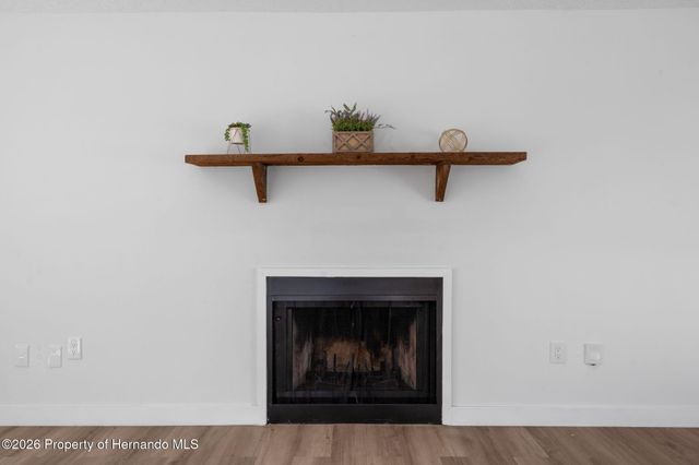 10296 Horizon Drive, Spring Hill, FL 34608