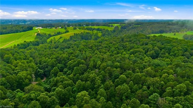 000 Brewer Mill Road Extension, Traphill, NC 28685