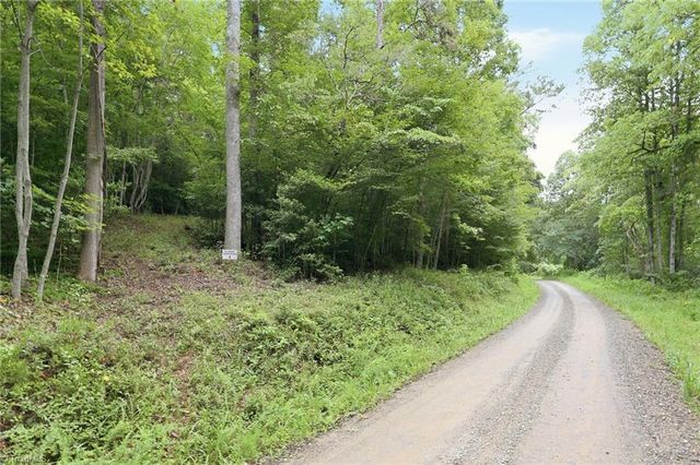 000 Brewer Mill Road Extension, Traphill, NC 28685