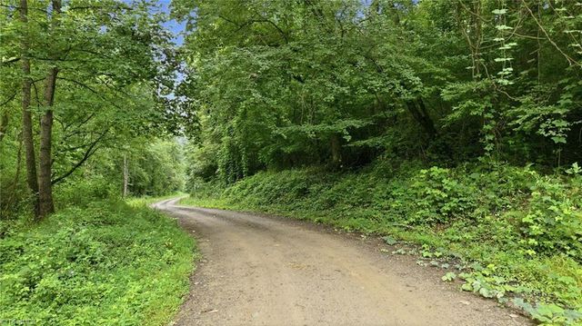 000 Brewer Mill Road Extension, Traphill, NC 28685