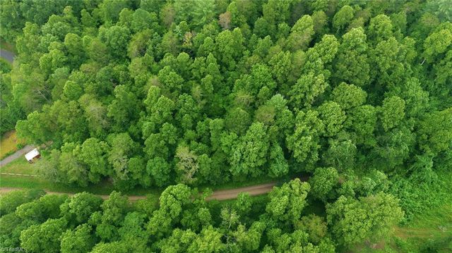 000 Brewer Mill Road Extension, Traphill, NC 28685