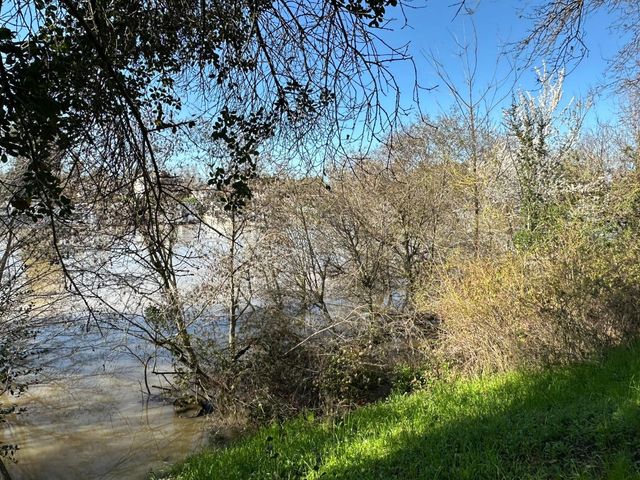 14055 River Rd, Walnut Grove, CA 95690