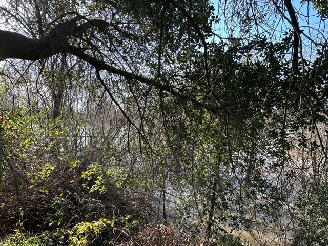 14055 River Rd, Walnut Grove, CA 95690