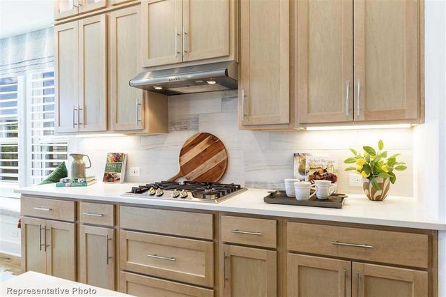 2902 Wild Berry Court, Fulshear, TX 77423