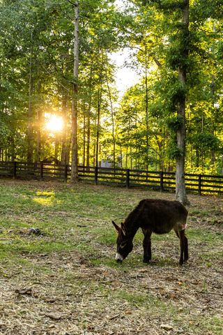 5004 Cobbler Ridge Rd, Franklin, TN 37064