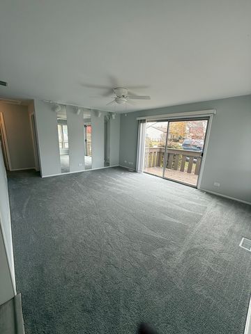 20137 S Hampton Court A, Frankfort, IL 60423