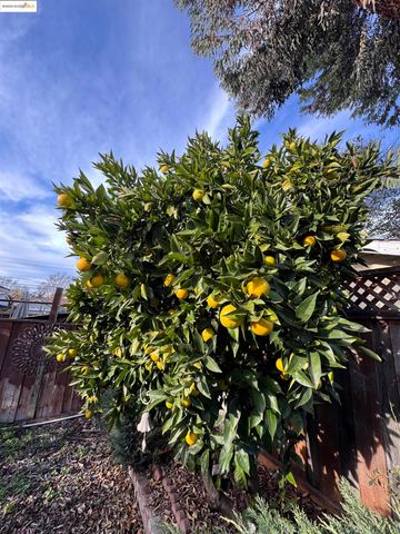 7081 Ann Arbor Way, Dublin, CA 94568