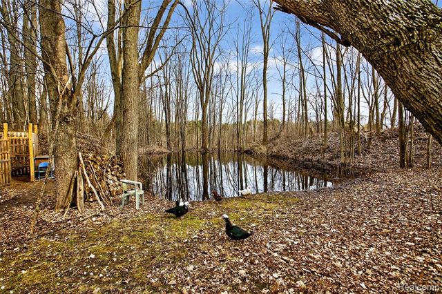 7651 Caine Road, Millington, MI 48746