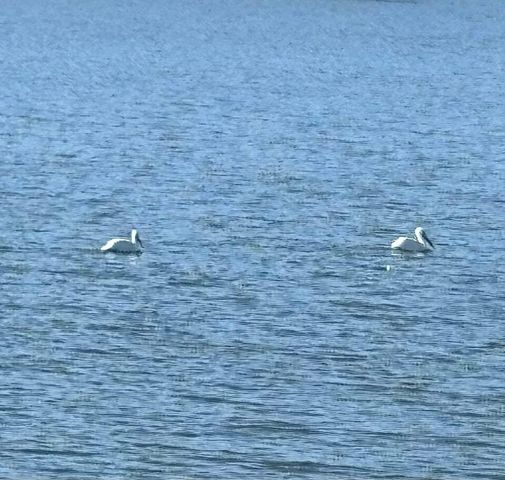 98 S Lakeshore Drive, Ransom Canyon, TX 79366