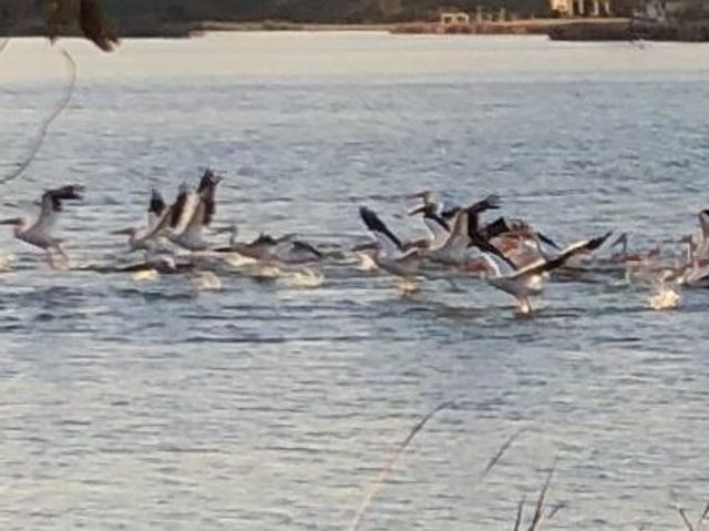 98 S Lakeshore Drive, Ransom Canyon, TX 79366