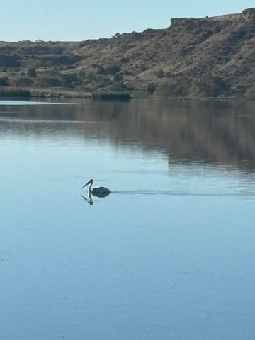 98 S Lakeshore Drive, Ransom Canyon, TX 79366