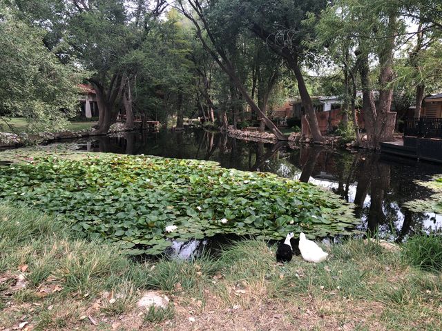 98 S Lakeshore Drive, Ransom Canyon, TX 79366