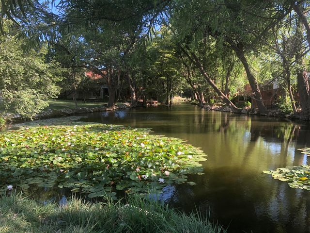 98 S Lakeshore Drive, Ransom Canyon, TX 79366