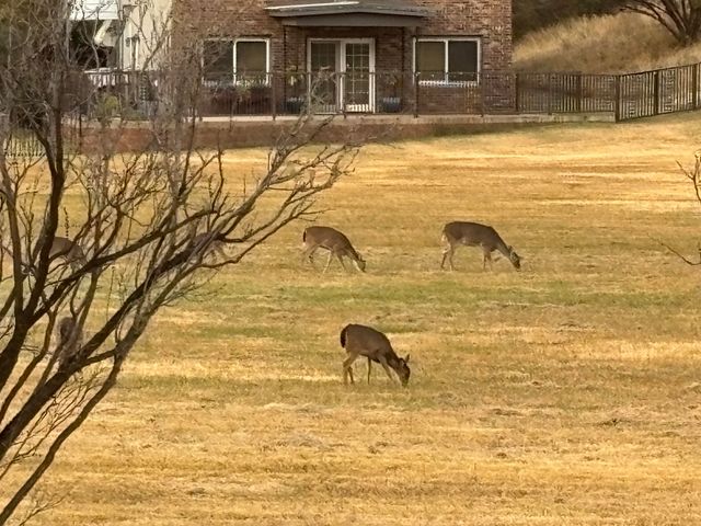 98 S Lakeshore Drive, Ransom Canyon, TX 79366