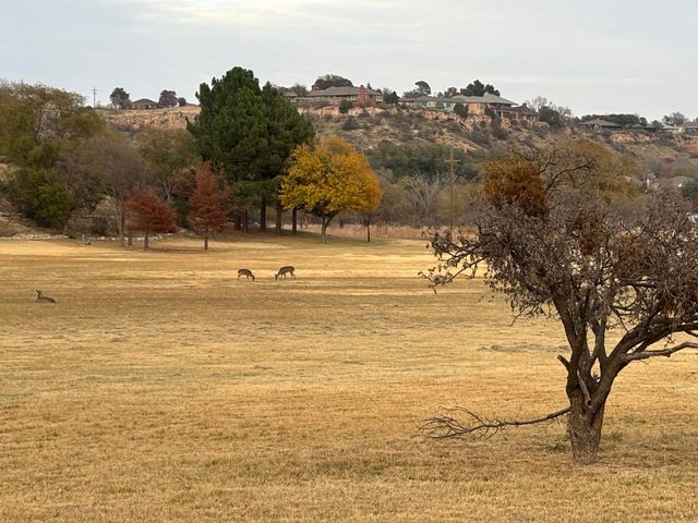 98 S Lakeshore Drive, Ransom Canyon, TX 79366