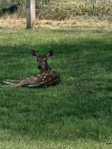 98 S Lakeshore Drive, Ransom Canyon, TX 79366