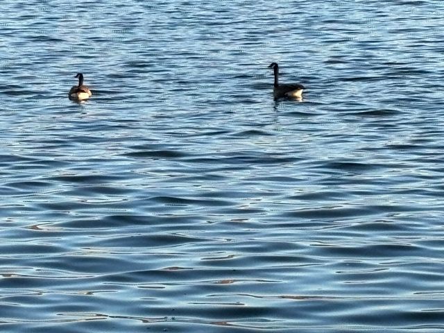 98 S Lakeshore Drive, Ransom Canyon, TX 79366