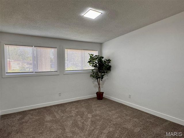 8408 Buckthorn Drive, Berkeley, MO 63134
