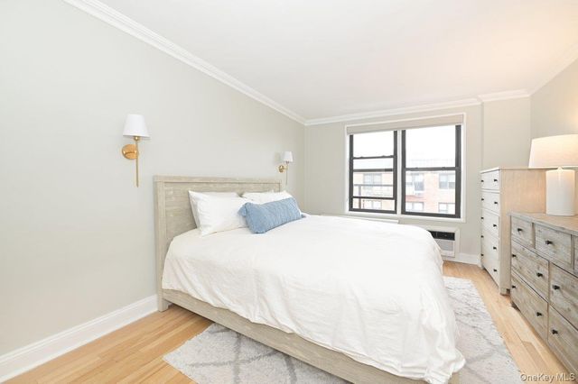 5 Birchwood Court 5J, Mineola, NY 11501