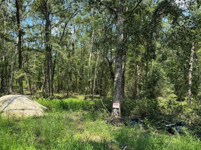 19959 Old Highway 105, Cleveland, TX 77328