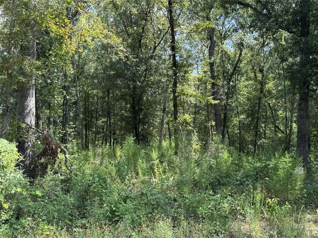 19959 Old Highway 105, Cleveland, TX 77328
