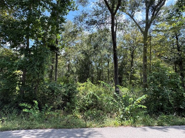 19959 Old Highway 105, Cleveland, TX 77328