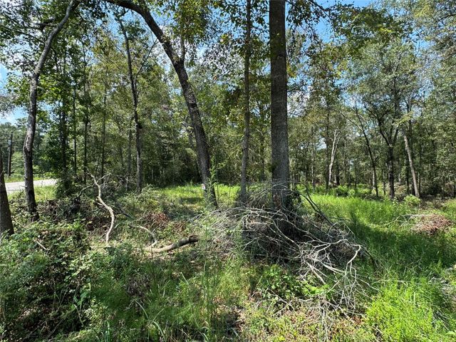 19959 Old Highway 105, Cleveland, TX 77328