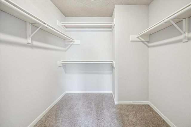 13794 Hollowgreen Drive 303, Houston, TX 77082