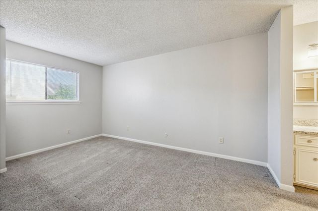 13794 Hollowgreen Drive 303, Houston, TX 77082