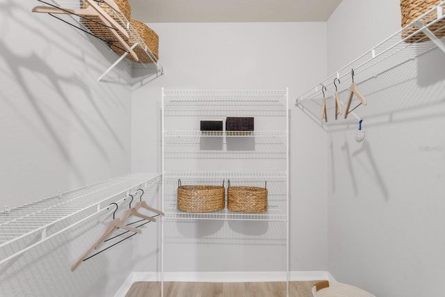 5246 HAMPTON BEACH PLACE, Tampa, FL 33609