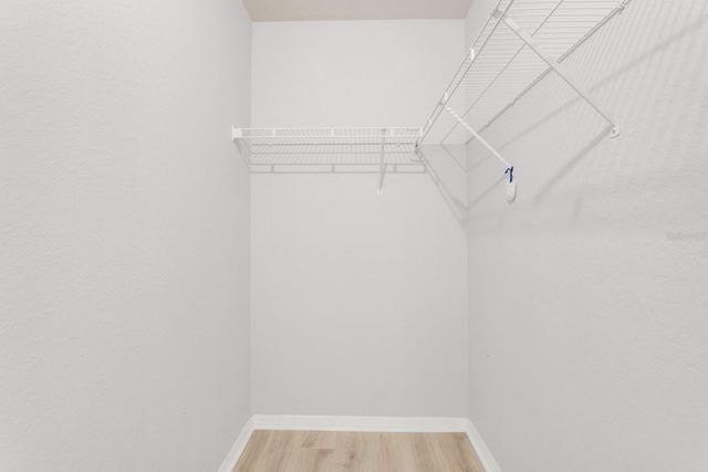 5246 HAMPTON BEACH PLACE, Tampa, FL 33609