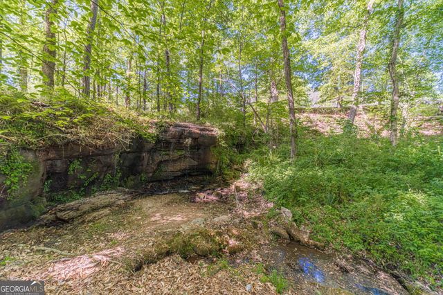 2513 Carleton Gold Road, Dacula, GA 30019
