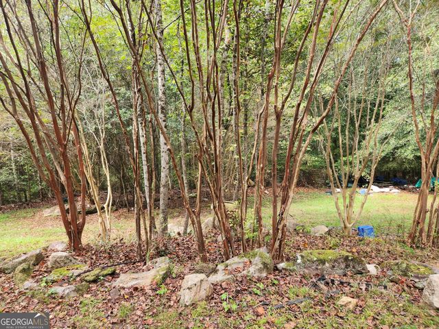 0 COCHRAN Road, South Fulton, GA 30331