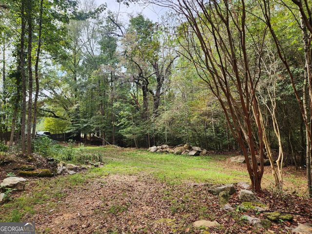 0 COCHRAN Road, South Fulton, GA 30331