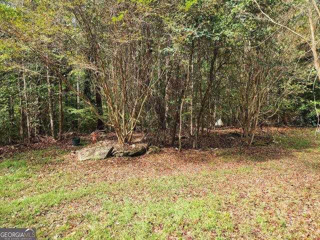 0 COCHRAN Road, South Fulton, GA 30331