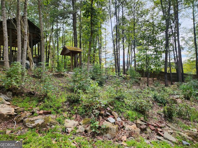 0 COCHRAN Road, South Fulton, GA 30331