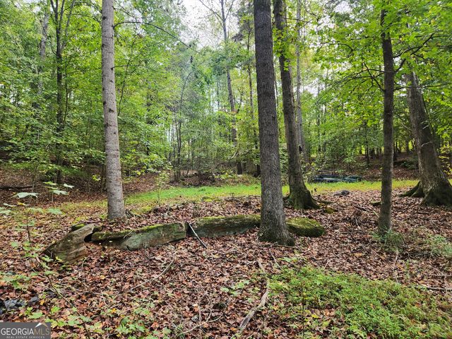 0 COCHRAN Road, South Fulton, GA 30331