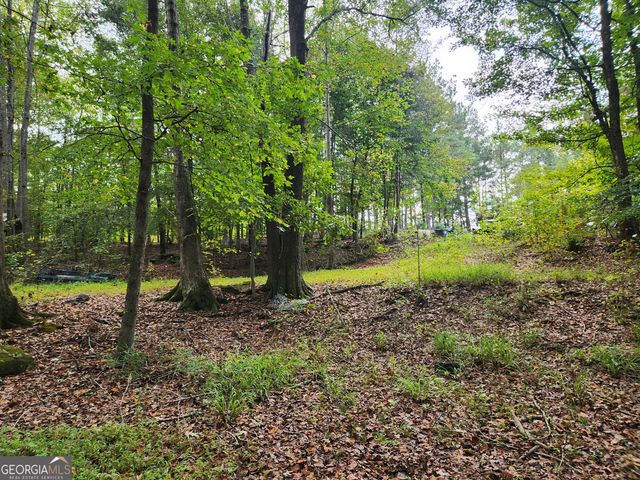 0 COCHRAN Road, South Fulton, GA 30331