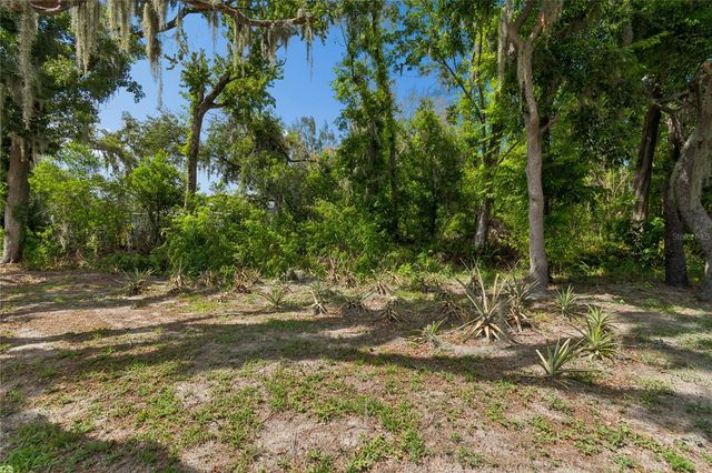 12512 SPOTTSWOOD DR, Riverview, FL 33579