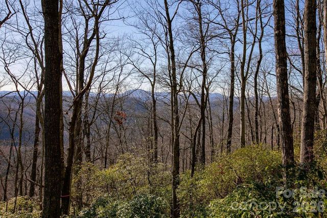 TBD Oak Ridge Road 17, Rosman, NC 28772