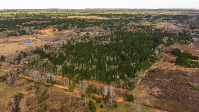 3662 ACR 359, Palestine, TX 75803